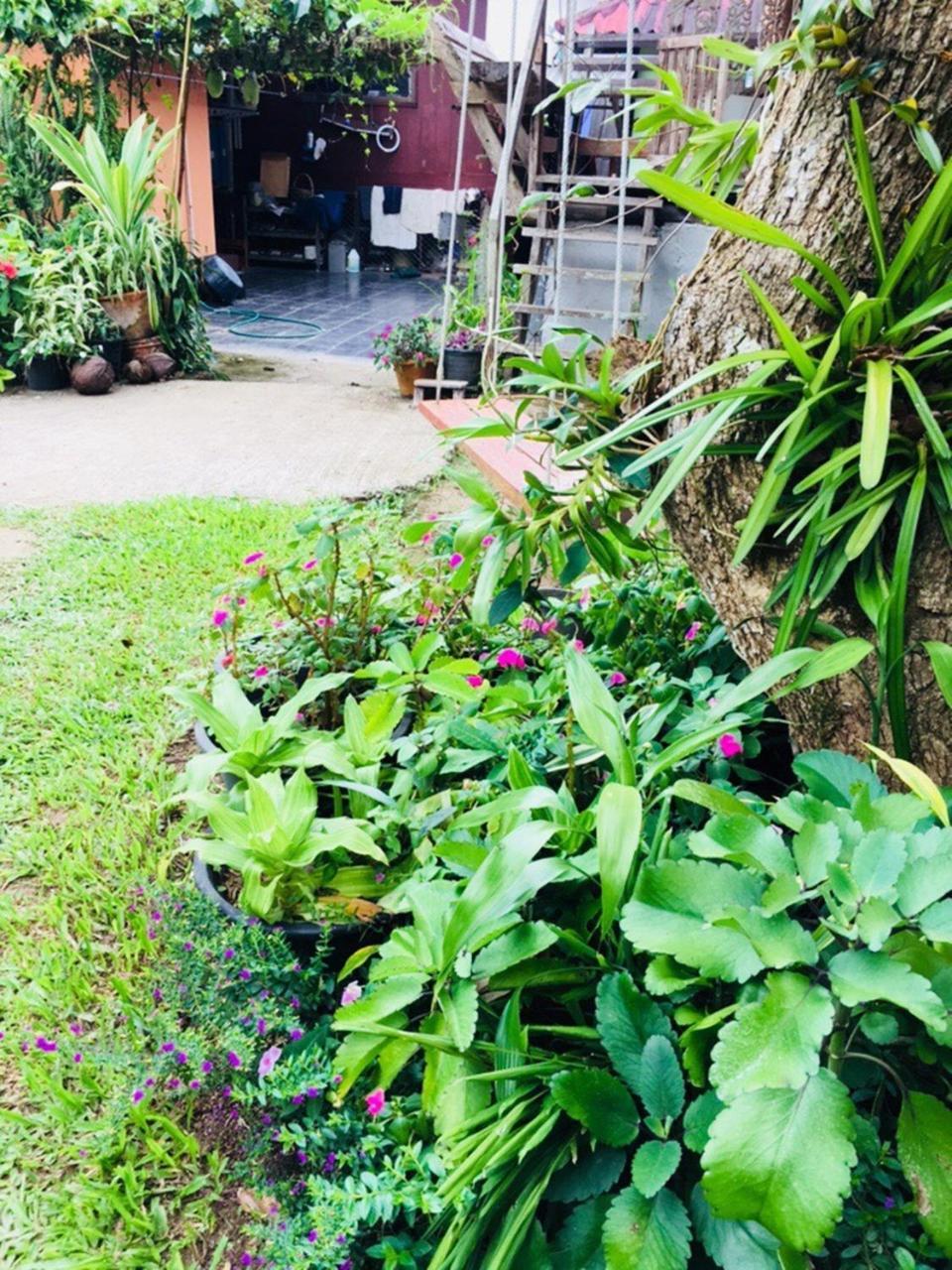 Kanravee Guesthouse Pai Dış mekan fotoğraf