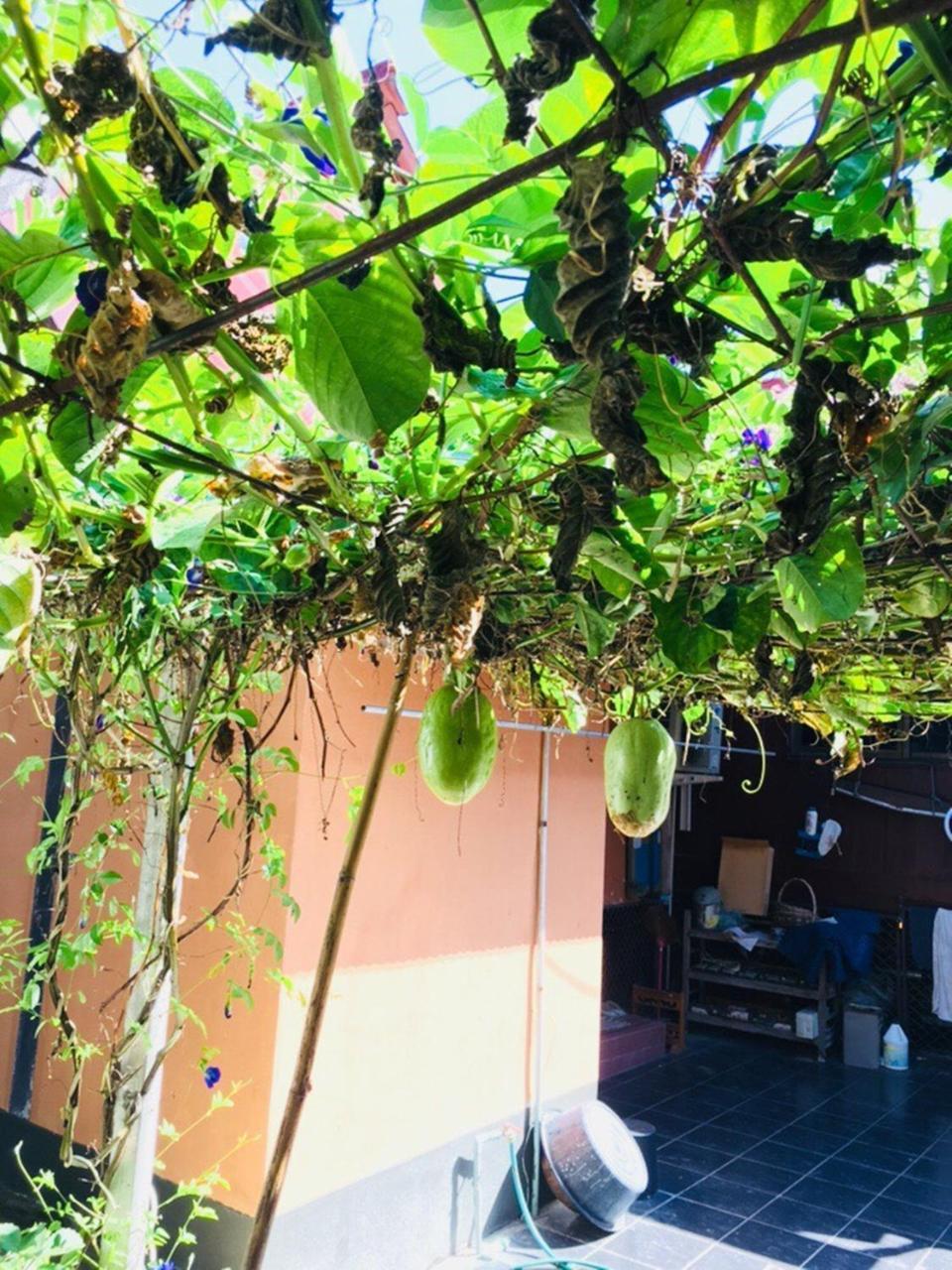 Kanravee Guesthouse Pai Dış mekan fotoğraf